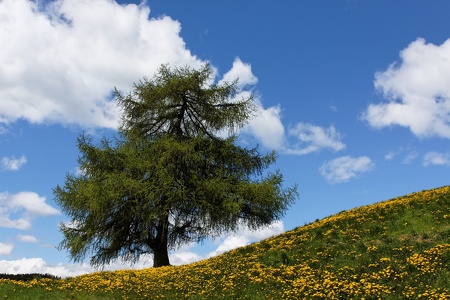 Frühling...