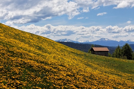 Frühling auf dem Saiten