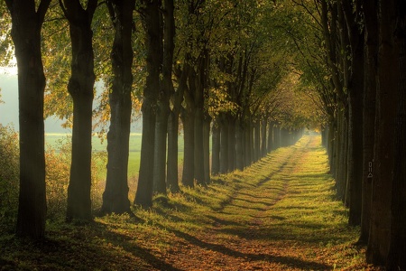 Weg in den Herbst - way to Autumn
