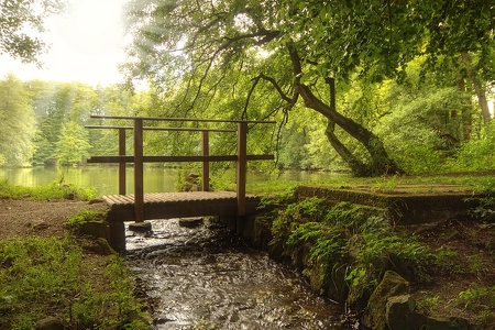 Asch Habichtswald / Kassel