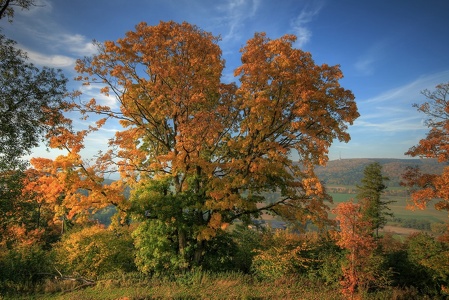 bunte Herbstzeit