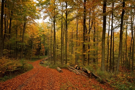 Herbst-Impressionen