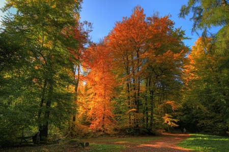 Herbst am Asch