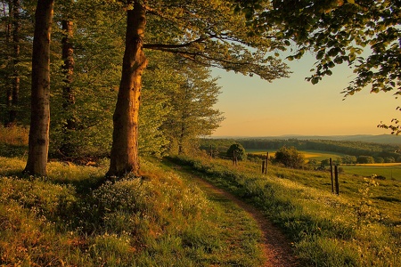 Abendspaziergang...  evening walk...