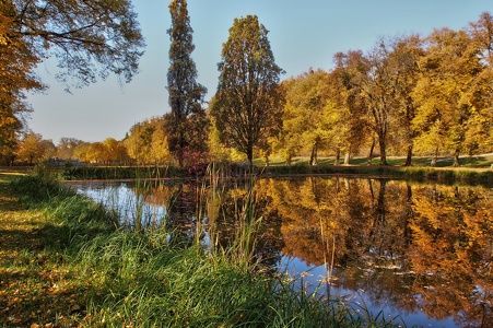 Herbst im Park