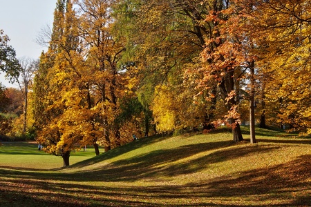 Herbst im Park