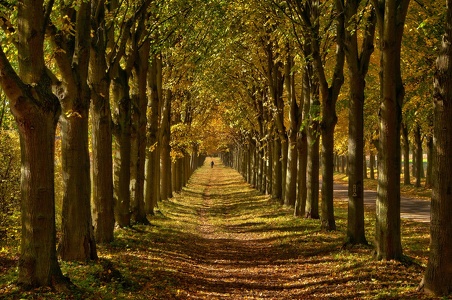 Herbstweg