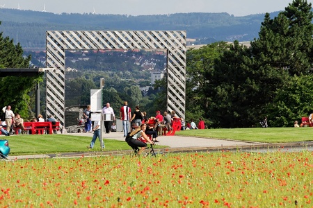 Mohnfeld Documenta 2007 Kassel