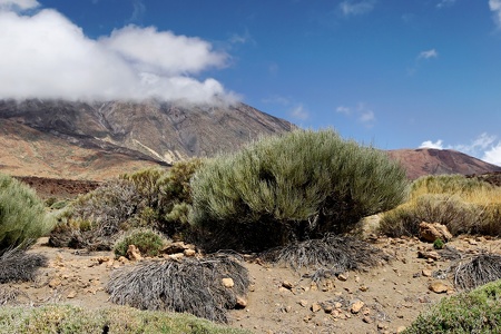 Roques de García