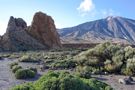 Roques de García