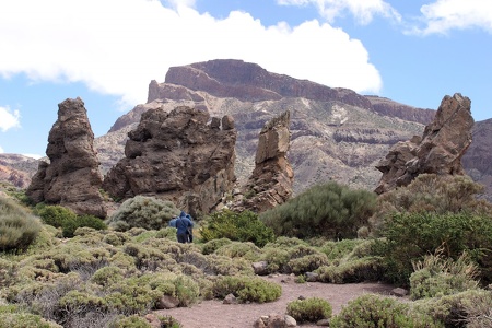 Roques de García