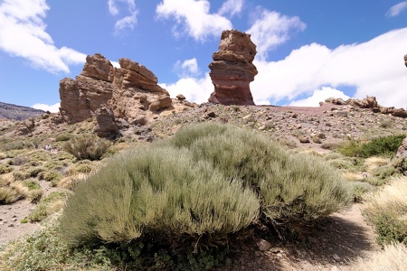 Roques de García