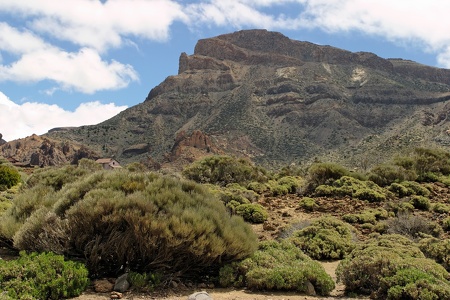 Roques de García