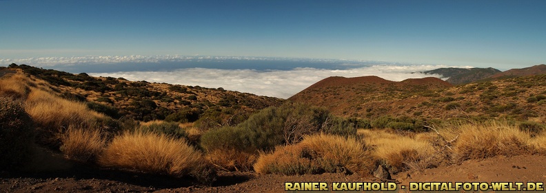 flickr-Rainer Kaufhold-5061521445.jpg