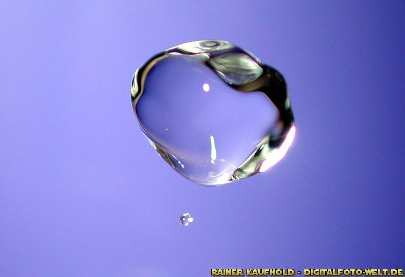 flickr-Rainer Kaufhold-67642736.jpg