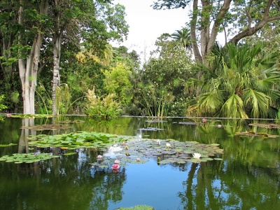 botanischer Garten Puerto de la Cruz