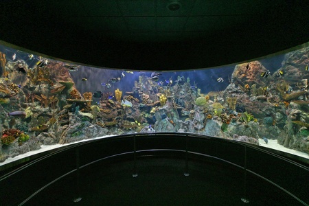 Aquarium Loro-Park