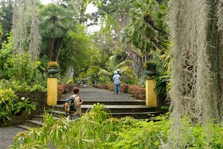 botanischer Garten Puerto de la Cruz