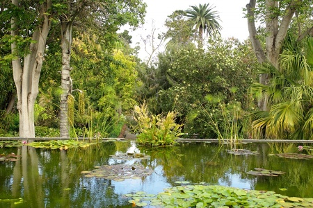 botanischer Garten Puerto de la Cruz