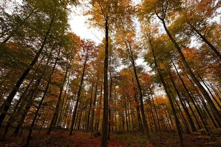 Herbst-Impressionen