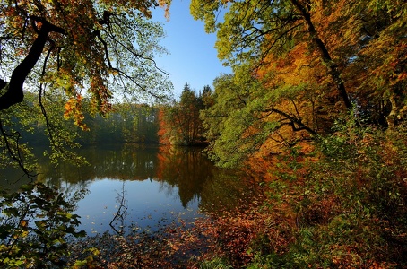 Herbst am Asch