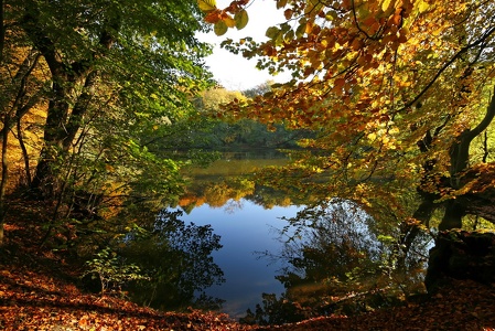 Waldsee Asch / Habichtswald - Kassel