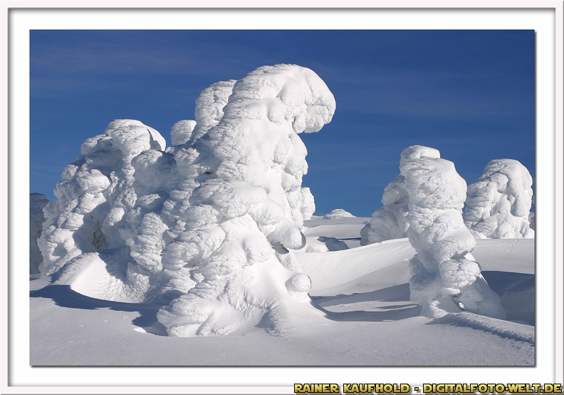 Impression von einem Ausflug auf dem Brocken im Harz - es war traumhaftes Winterwetter mit blauem Himmel. Die Bäume verwandelten sich in groteske Schnee-Skulpturen, man konnte alle möglichen Figuren erkennen, fast jeder der vorbeikommenden Wandersleute hatte eine andere Interpretation des Gesehenen.
flickr-Rainer Kaufhold-67908961.jpg
