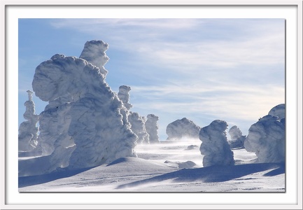 Wintertraum V - auf dem Brocken / Harz