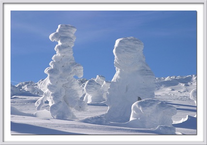 Wintertraum IV - auf dem Brocken / Harz