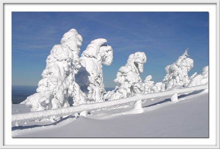 Wintertraum IV - auf dem Brocken / Harz