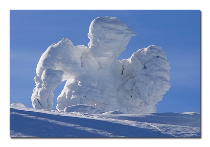 Schneemonster - auf dem Brocken / Harz