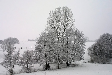 Winterimpression