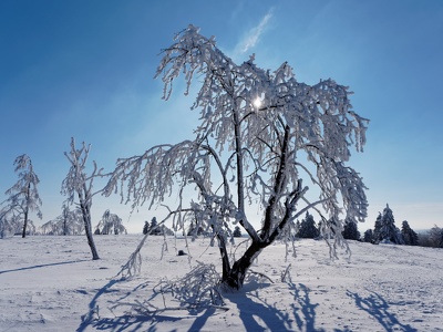 Winter auf dem Kahlen Asten