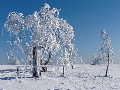 Winter auf dem Kahlen Asten