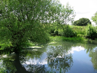 Idylle am Teich Burghasungen