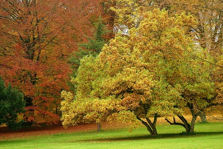 Herbst