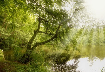 Asch Habichtswald / Kassel