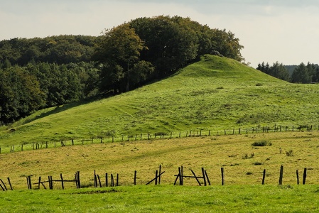 Habichtswald - auf der Hute