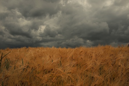 Sommergewitter in Schauenburg Hoof