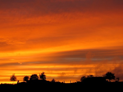 goldener Oktober...