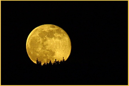 Mondaufgang über dem Wald...
