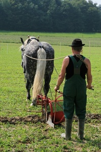 Feldbestellung