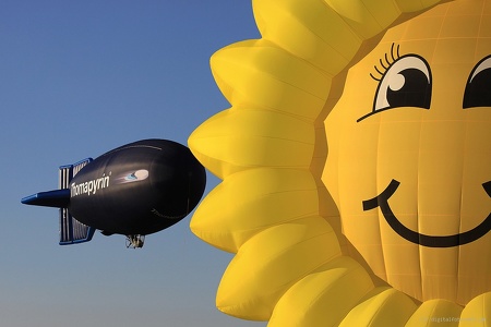 Blimp Sonnenblume