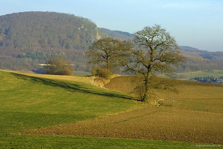 am Wolwerskopf