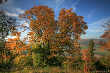 der Burgberg im Herbst