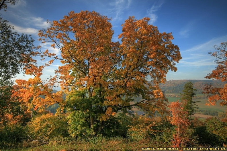 Burgbergherbst1.jpg