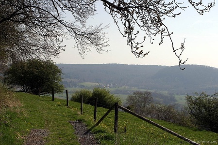 der Schauenburg Rundweg im Sommer