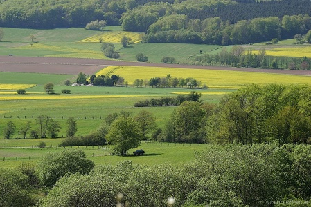 Felder westlich des Schönbergs