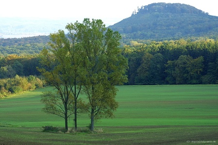 der Frankenborn, südlich von Hoof