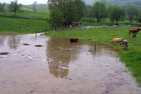 Hochwasser in Schauenburg-Hoof